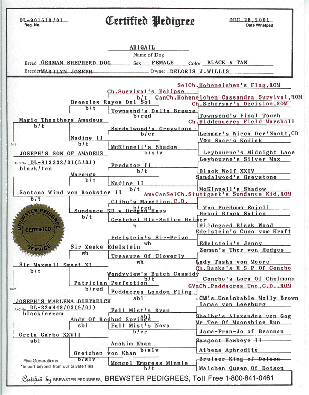 abigailpedigree.gif