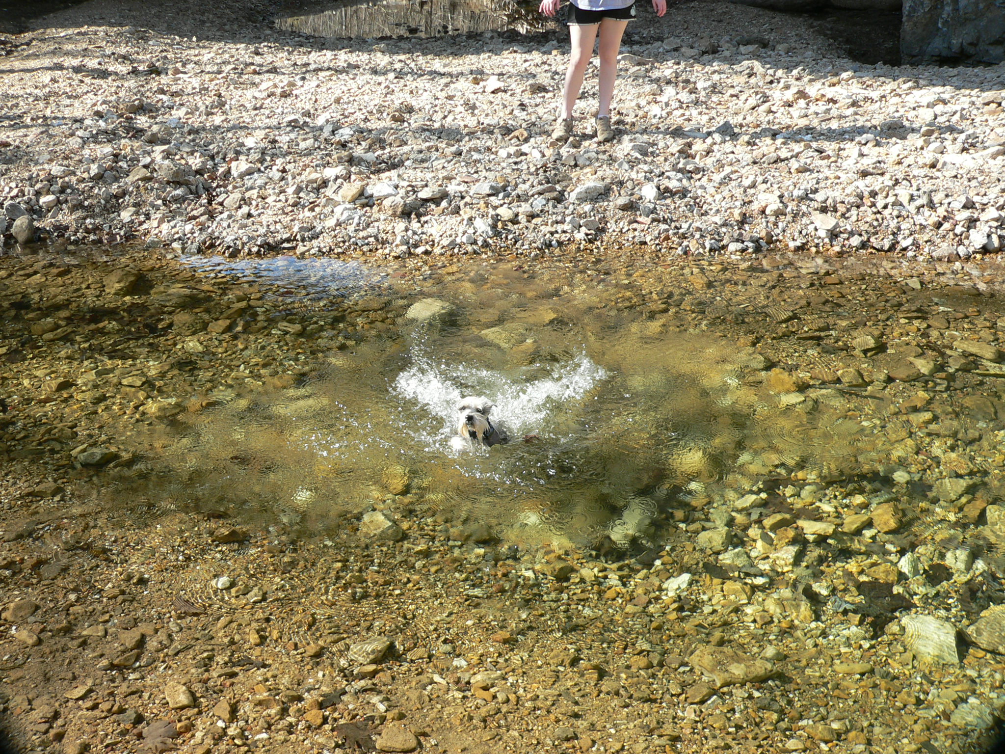 anniecameupswimming.jpg