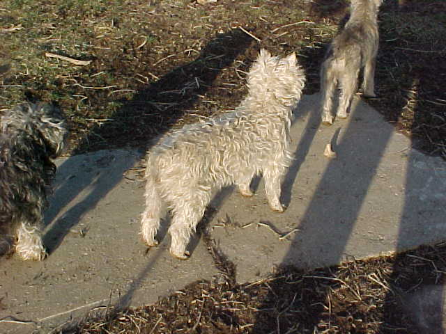 boostandbutt.jpg