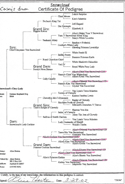 caseysdampedigree.gif