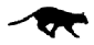 catrun.gif