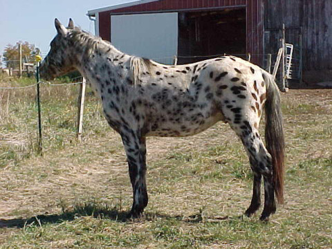 cisco2.jpg