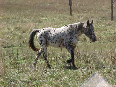 cisco4.jpg