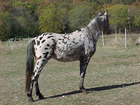 cisco8.jpg