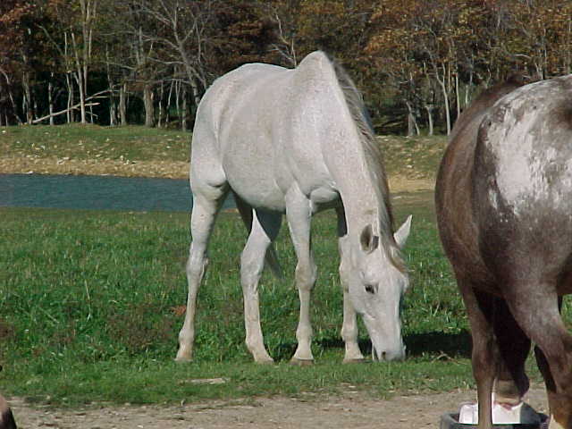 dancereat.jpg