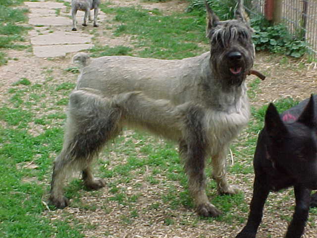elliestandlook.jpg