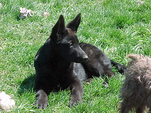 kaila1april04.jpg