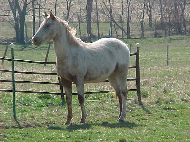 legend21mar.2004stand2.jpg