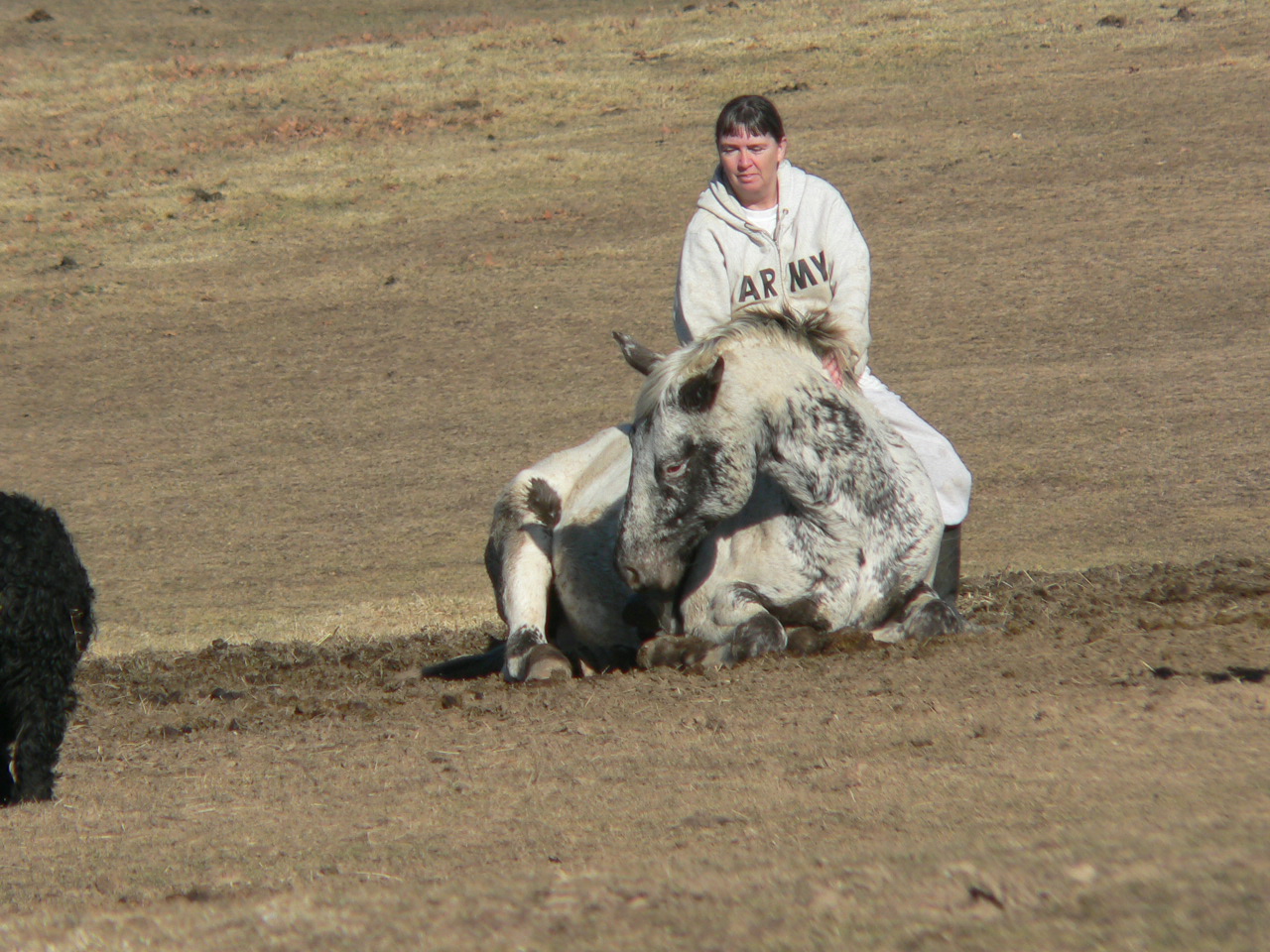 mesitonjolayingdown1.jpg