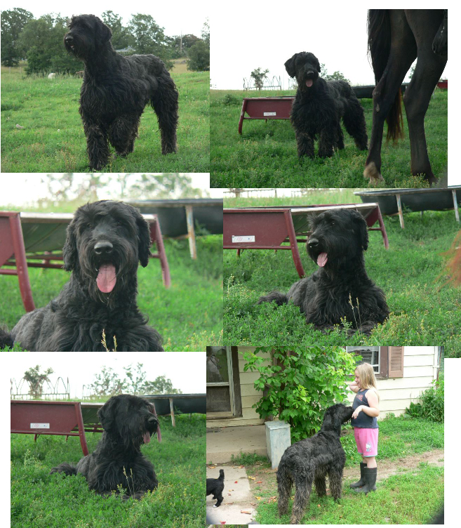 missycollage1.jpg