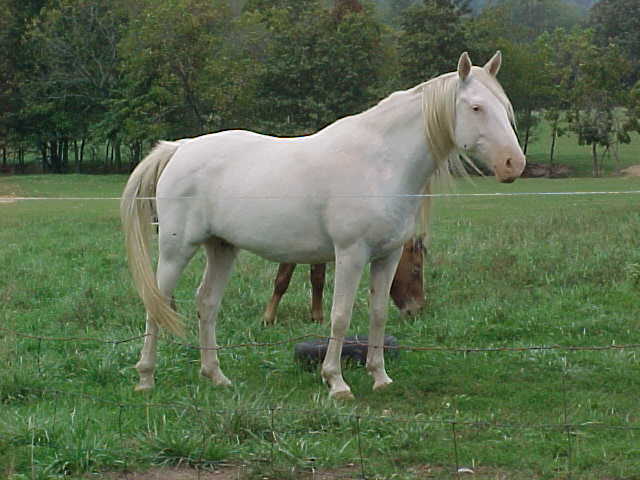 sweety1.jpg