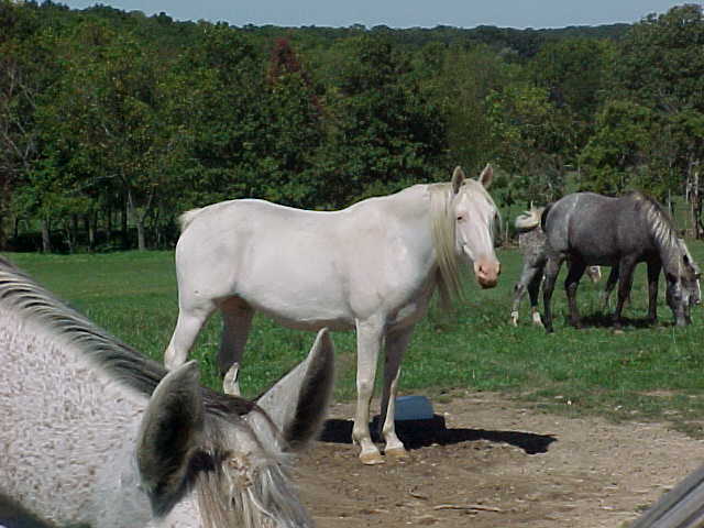 sweety2.jpg