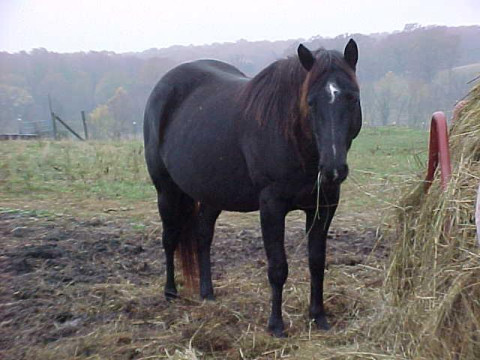 tjpregeathay2002.jpg
