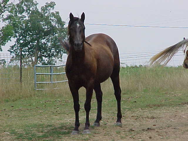 tjstand2001.2.jpg