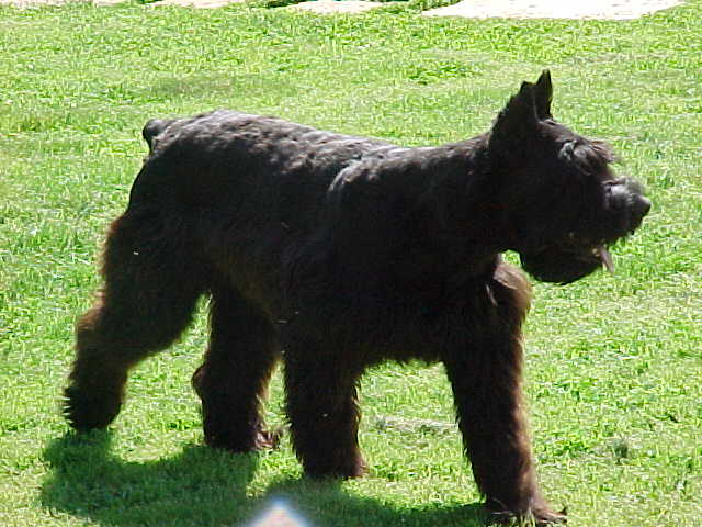 tucker16may2004.jpg