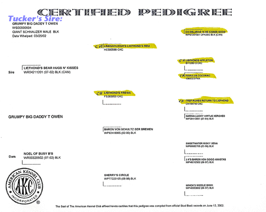 tuckersirenobeelername.gif